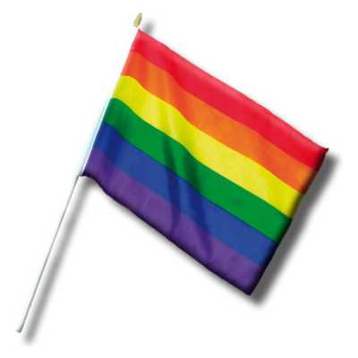 
				BANDERIN PEQUEÑO ORGULLO LGBT
				